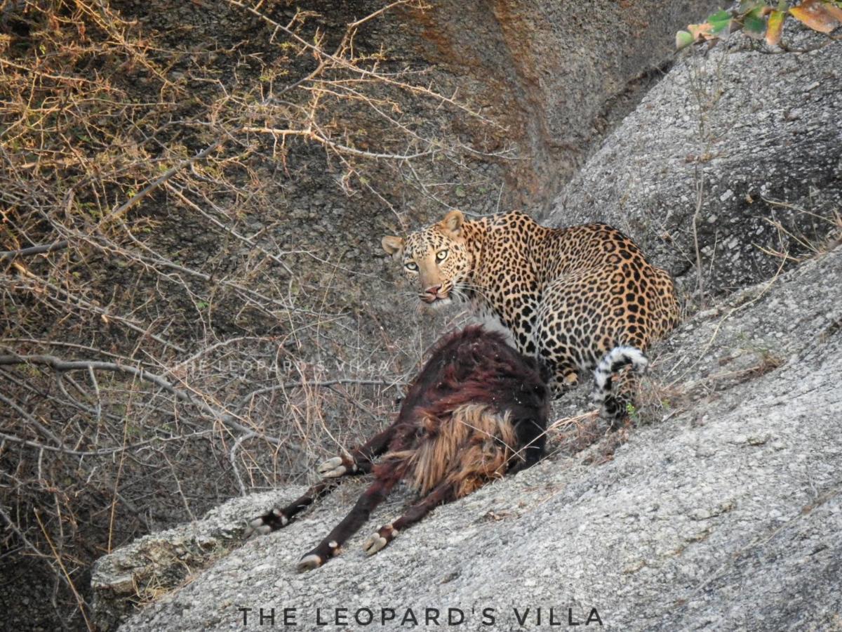 Jawai Leopard Villa Bijapur  Zewnętrze zdjęcie