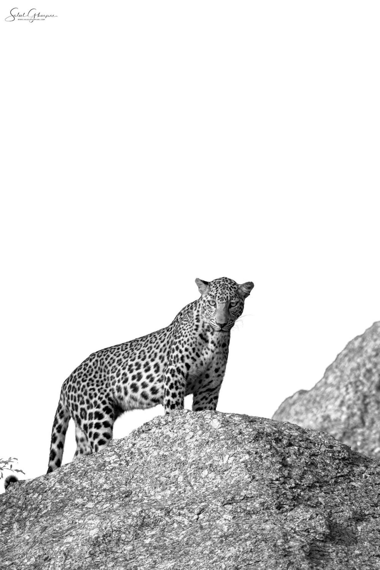 Jawai Leopard Villa Bijapur  Zewnętrze zdjęcie